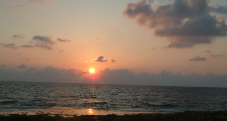 ����� ���� ���'��